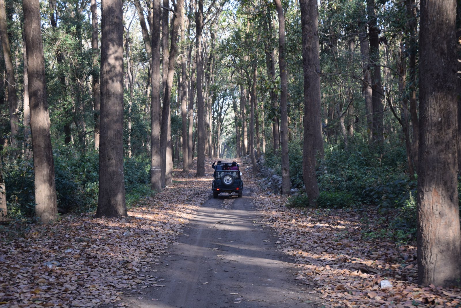 How to Reach Corbett National Park