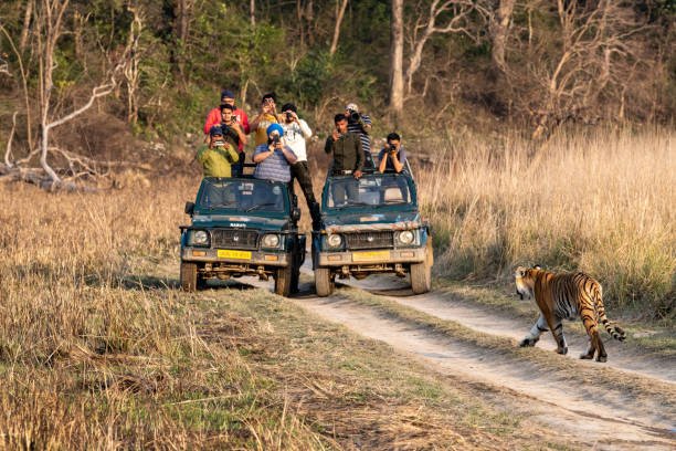 Corbett Nainital Tour